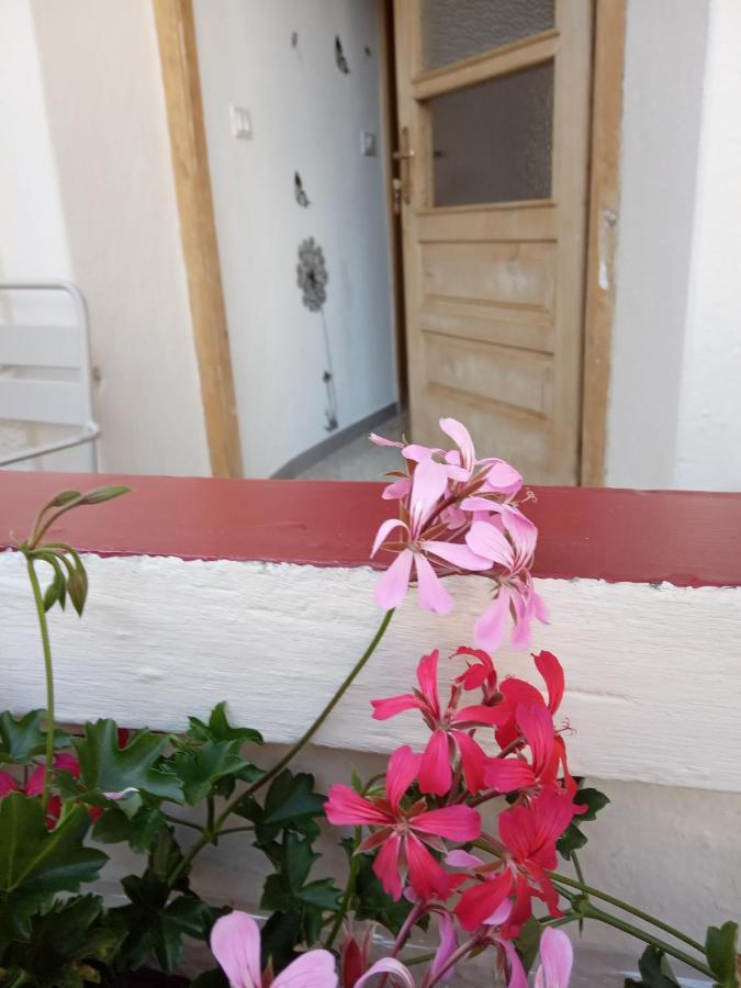 Da Valentina Apartment Castelfondo Luaran gambar